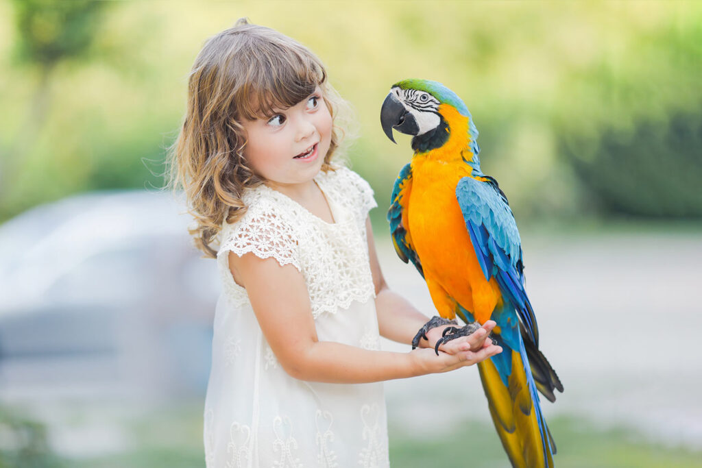 What to Know About Parrots With Your Kids
