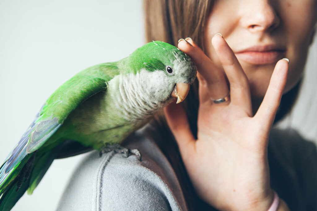How to Translate Bird’s Age Into Human Years